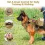 rabbitgoo Tactical Dog Harness and Bungee Dog Leash Set for Large Medium Dogs, Molle Vest for Service & Training Military Dogs Adjustable Training Hunting Dog Tactical Vest, Tan, L, Chest (31.5-41.3”)