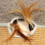 Houkiper Cat Scratching Pads Folded Sisal Carpet with Interesting Feather