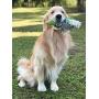 Fetch Pet Products Party Fowl Canvas and Rope Squeaky Dog Toy for Large and Medium Dogs, Multiple Squeakers Inside