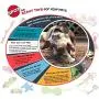 SPOT Ethical Pets Mini Skinneeez Extreme Stuffingless Quilted Dog Toy, 14'' SPOT Ethical Pets Mini Skinneeez Extreme Stuffingless Quilted Dog Toy, 14''