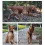 juxzh Truelove Soft Front Dog Harness .Best Reflective No Pull Harness with Handle and 2 Leash Attachments