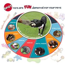 SPOT Mini Skinneeez | Stuffless Dog Toy with Squeaker For All Dogs | Tug-Of-War Toy For Small and Large Breeds | 13'' | Flamingo Design | By Ethical Pet