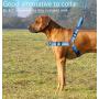 PETBABA No Pull Dog Harness, Reflective Safety at Night, Step-in Vest in Walking Training