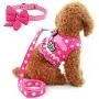 Cute Small Dog Harness, Ladies Polka Dots Dog Vest Harness Set with Pink Leash and Bowknot Collar, 3 in 1 Girl Style Vest Harness Set for Puppy and Cat (L, Pink) Cute Small Dog Harness, Ladies Polka Dots Dog Vest Harness Set with Pink Leash and Bowknot Collar, 3 in 1 Girl Style Vest Harness Set for Puppy and Cat (L, Pink)