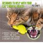 Pet Craft Supply Cactus Interactive Cat Toy Chew Toy Teeth Cleaning Bite Resistant 100% Natural Rubber with Bonus Catnip and Silvervine Bags for Kittens and Adult Cat