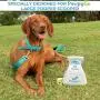 Large Biodegradable Dog Poop Bags PawpyGo, Pet Waste Bags, Unscented, Earth-Friendly Disposable Doggie Waste Bags Large Biodegradable Dog Poop Bags PawpyGo, Pet Waste Bags, Unscented, Earth-Friendly Disposable Doggie Waste Bags
