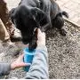 PupSecret Premium Portable Dog Paw Cleaner | Silicone Muddy Paw Washer With Super Soft Bristles and Cover | Medium Size