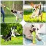 Simpeak 8PCS Pets Puppy Dog Toys for Chewers Set, Small to Medium Dog Chew Rope Toys for Boredom Teething Training, Durable Dog Toys for Puppies Simpeak 8PCS Pets Puppy Dog Toys for Chewers Set, Small to Medium Dog Chew Rope Toys for Boredom Teething Training, Durable Dog Toys for Puppies