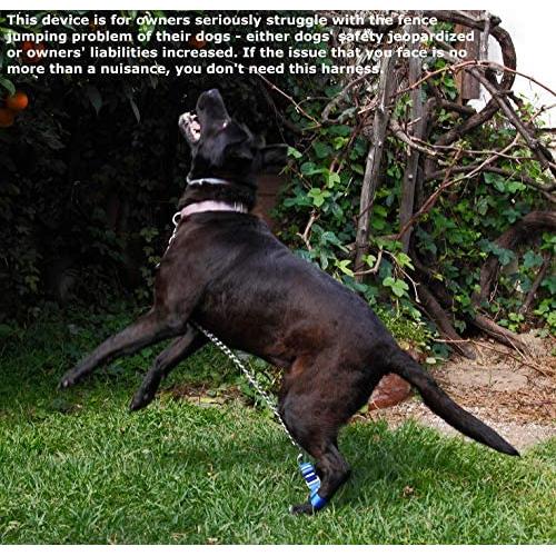 LowJump Jump Restraint Harness for Dogs