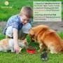 SunGrow Collapsible Bowls, Food and Water Feeder for Camping, Travel, Food-Grade, Carabiner Clip for Easy Storage, Dishwasher Friendly, Low Footprint, Feed Dog/cat Anywhere, 2 Pack SunGrow Collapsible Bowls, Food and Water Feeder for Camping, Travel, Food-Grade, Carabiner Clip for Easy Storage, Dishwasher Friendly, Low Footprint, Feed Dog/cat Anywhere, 2 Pack