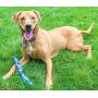 S&T INC. Natural Rubber Fetch Toy