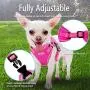 azuza Puppy Harness and Leash Set, Reflective Air Mesh Dog Vest Harness, All Weather Comfort Dog Harness for Small Dogs