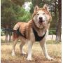 KnK Dog Supplies Big Dog Harness Padded Strong Sturdy Weight Pulling Harness Vest Large Dogs Training Quick Walking Keep Your Dog Amused and in Great Shape by draining accumulated Energy!