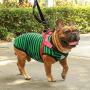 iChoue Dog Harness Easy On and Off Adjustable Harness Lightweight Harness with Handle for Small and Medium Dogs