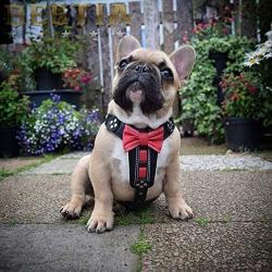 Bestia Bowtie Leather French Bulldog Harness. 100% Leather. Padded Chest Plate. Hand Made in Europe!