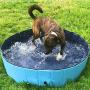 Foldable Dog Swimming Pool Collapsible Pet Pool Bathing Tub Kiddie Pool for Dogs Cats and Kids