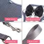 RYPET Small Dog Harness and Leash Set - No Pull Pet Harness with Soft Mesh Nylon Vest for Small Dogs and Cats