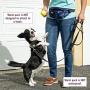 Leashboss PackUp Pouch Dog Treat Training Fanny Pack (Navy) with 120 Bags, 8 Rolls Unscented Leak Proof Gray Poop Bags