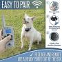 Pet Union PT0Z1 Premium Dog Training Shock Collar, Fully Waterproof, 1200ft Range