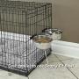 MidWest Homes for Pets Snapy Fit Stainless Steel Food Bowl/Pet Bowl MidWest Homes for Pets Snapy Fit Stainless Steel Food Bowl/Pet Bowl