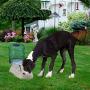 Zone Tech Self-Dispensing Pet Waterer - Premium Quality Durable Self-Dispensing Gravity 3.7 Liters Pet Waterer