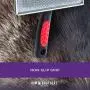Ryans Pet Supplies Paw Brothers Flat Slicker Brush for Dogs, Stainless Steel Pins, 4.5 x 2 inches, Large