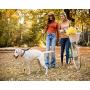 Kruz Reflective Dog Leash -KZROPE5048/5060 - Soft Silicone Grip with Click & Lock Snap - Walking, Running and Pet Training - Heavy-Duty, Durable Rope - Security, Safety, Control, and Comfort