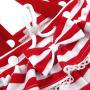 Alfie Pet - Charlotte Diaper Dog Sanitary Pantie with Suspender for Girl Dogs - Color: Red, Size: Medium Alfie Pet - Charlotte Diaper Dog Sanitary Pantie with Suspender for Girl Dogs - Color: Red, Size: Medium