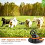 Beewarm Swivel 360° Dog Tie Out Stake for Large Medium Small Dogs - Lifetime Replacement Guarantee - Dog Anchor for Dog Runners - Two Colors for Choice