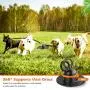 Beewarm Swivel 360° Dog Tie Out Stake for Large Medium Small Dogs - Lifetime Replacement Guarantee - Dog Anchor for Dog Runners - Two Colors for Choice Beewarm Swivel 360° Dog Tie Out Stake for Large Medium Small Dogs - Lifetime Replacement Guarantee - Dog Anchor for Dog Runners - Two Colors for Choice