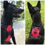 MyDog No Pull Dog Vest Harness with 4 Snap Buckles [No Need to Go Over Dog’s Head] Reflective Easy Control Handle and 2 Front & Back Metal Leash Rings Dog Harness for Outdoor Dogs