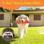 Dog Chew Toys for Aggressive Chewers Large Breed Tough Toothbrush Bone for Medium Large Dogs Indestructible Rubber Tug Sticks for Puppy Teeth Cleaning Dental Oral Care Puzzle Toys for Dog Gifts (S) Dog Chew Toys for Aggressive Chewers Large Breed Tough Toothbrush Bone for Medium Large Dogs Indestructible Rubber Tug Sticks for Puppy Teeth Cleaning Dental Oral Care Puzzle Toys for Dog Gifts (S)