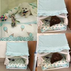 Creation Core Romantic Pet Puppy Cat Bed House with Canopy Net Pillow Quilt