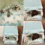 Creation Core Romantic Pet Puppy Cat Bed House with Canopy Net Pillow Quilt