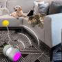 k-berho Cat Toys Interactive, Cat Toys for Indoor with Feather,Ball,Mouse and 2 Color Ribbons,Automatic Cat Toy with Irregular USB Charging 360 Degree Self Rotating Ball