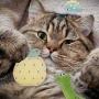 Catnip Cat Toys for Indoor Cats, 9 Pack Interactive Cat Toy with Crinkle, Squeaky, Rattle Sound, Kitten Stuffed Animal Cat Toy Set Assorted Plush Pet Toys, Cat Chew Toy for Chewing, Hunting, Teething