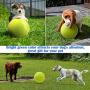 Banfeng Giant 9.5'' Dog Tennis Ball Large Pet Toys Funny Outdoor Sports Dog Ball Gift with Inflating Needles