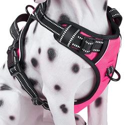 PoyPet No Pull Dog Harness, Reflective Vest Harness with 2 Leash Attachments and Easy Control Handle for Small Medium Large Dog