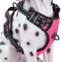 PoyPet No Pull Dog Harness, Reflective Vest Harness with 2 Leash Attachments and Easy Control Handle for Small Medium Large Dog