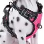 PoyPet No Pull Dog Harness, Reflective Vest Harness with 2 Leash Attachments and Easy Control Handle for Small Medium Large Dog PoyPet No Pull Dog Harness, Reflective Vest Harness with 2 Leash Attachments and Easy Control Handle for Small Medium Large Dog