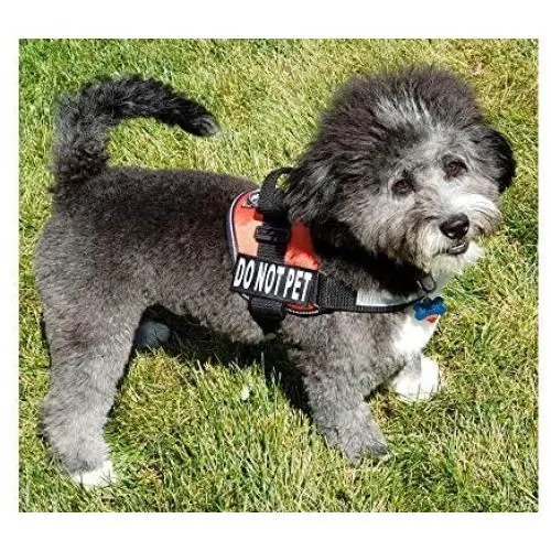 DO NOT PET Dog Vest Harness with Removable Patches and Reflective Trim