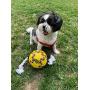 Wola Dog Soccer Ball, Size 1 with Free Pump, Made Out of 100% Natural Rubber, Non-Toxic Dog Toy - Rope & Tug Dog Toy