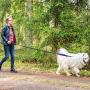 Short Dog Leash with Padded Handle, Bungee Dog Leash Shock Absorbing, Nylon Reflective Pet Leashes for Walking, Dog Lead for Medium & Large Dogs