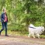Short Dog Leash with Padded Handle, Bungee Dog Leash Shock Absorbing, Nylon Reflective Pet Leashes for Walking, Dog Lead for Medium & Large Dogs Short Dog Leash with Padded Handle, Bungee Dog Leash Shock Absorbing, Nylon Reflective Pet Leashes for Walking, Dog Lead for Medium & Large Dogs