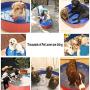 Zology Foldable Dog Pet Bath Pool Collapsible Dog Pet Pool Bathing Tub Kiddie Pool for Dogs Cats and Kids