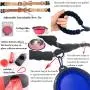 12pcs Blue Puppy Starter Kit /Dog Collar /Leash /Blanket/ Feeding Bowls/Squeak Toys/ Grooming Glove /All The Basics for A New Furry Addition to Your Home Christmas Birthday Gift