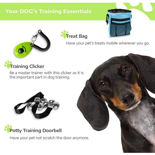 Puppy Starter Kit - Puppy Supplies, Accessories. 23 pc Kit for Puppies has Feeding Bowls, Lick Mat, Training Aids, Leash, Collar, Toys, Potty Training Bells & More for New Girl Puppies