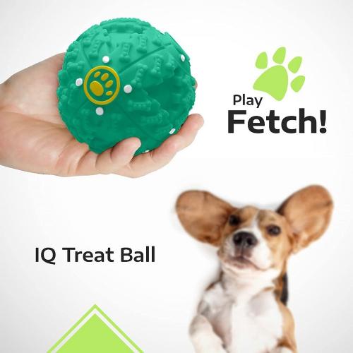 Puppy Starter Kit - Puppy Supplies, Accessories. 23 pc Kit for Puppies has Feeding Bowls, Lick Mat, Training Aids, Leash, Collar, Toys, Potty Training Bells & More for New Girl Puppies