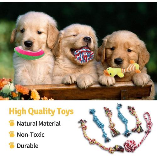 KIPRITII Dog Chew Toys for Puppy - 18 Pack Puppies Teething Chew Toys for Boredom, Pet Dog Chew Toys with Rope Toys, Dog Squeaky Toy for Puppy and Small Dogs