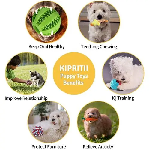 Can Puppies Have Rope Toys